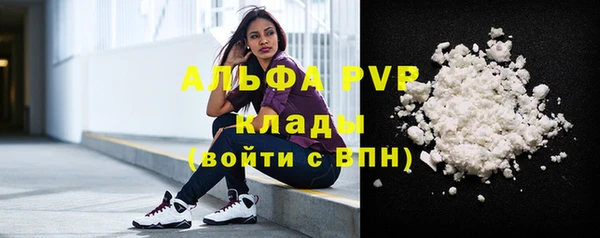 ПСИЛОЦИБИНОВЫЕ ГРИБЫ Бородино