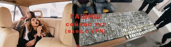 ПСИЛОЦИБИНОВЫЕ ГРИБЫ Бородино