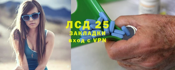 ПСИЛОЦИБИНОВЫЕ ГРИБЫ Бородино