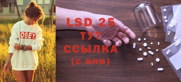 ПСИЛОЦИБИНОВЫЕ ГРИБЫ Бородино