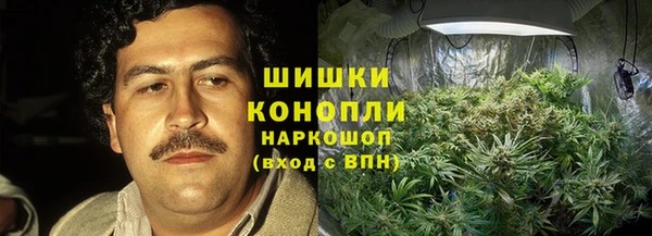 ПСИЛОЦИБИНОВЫЕ ГРИБЫ Бородино