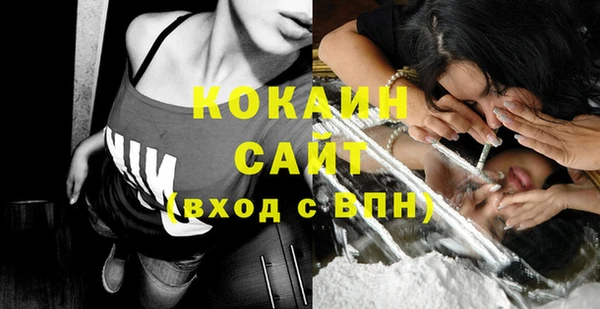 ПСИЛОЦИБИНОВЫЕ ГРИБЫ Бородино