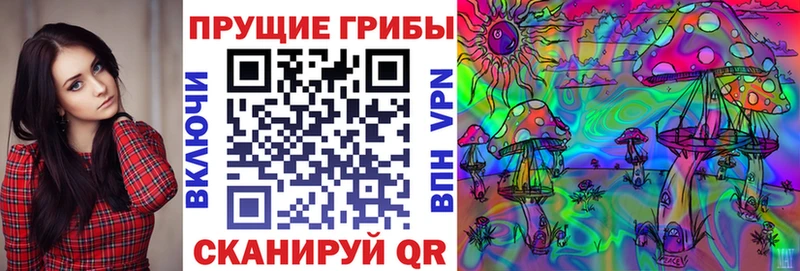 Купить где  Куйбышев  Псилоцибиновые грибы MAGIC MUSHROOMS 